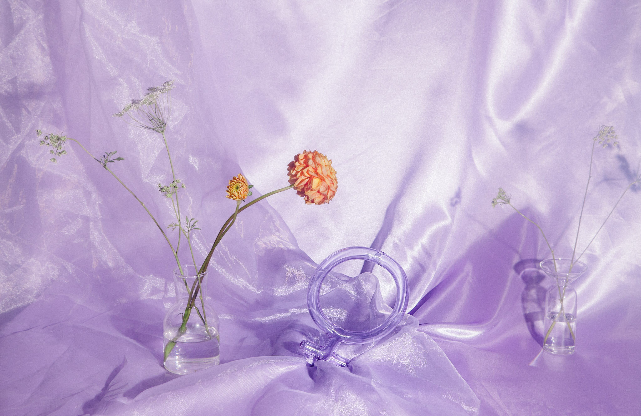 untitled shoot-2019191008-002.jpg