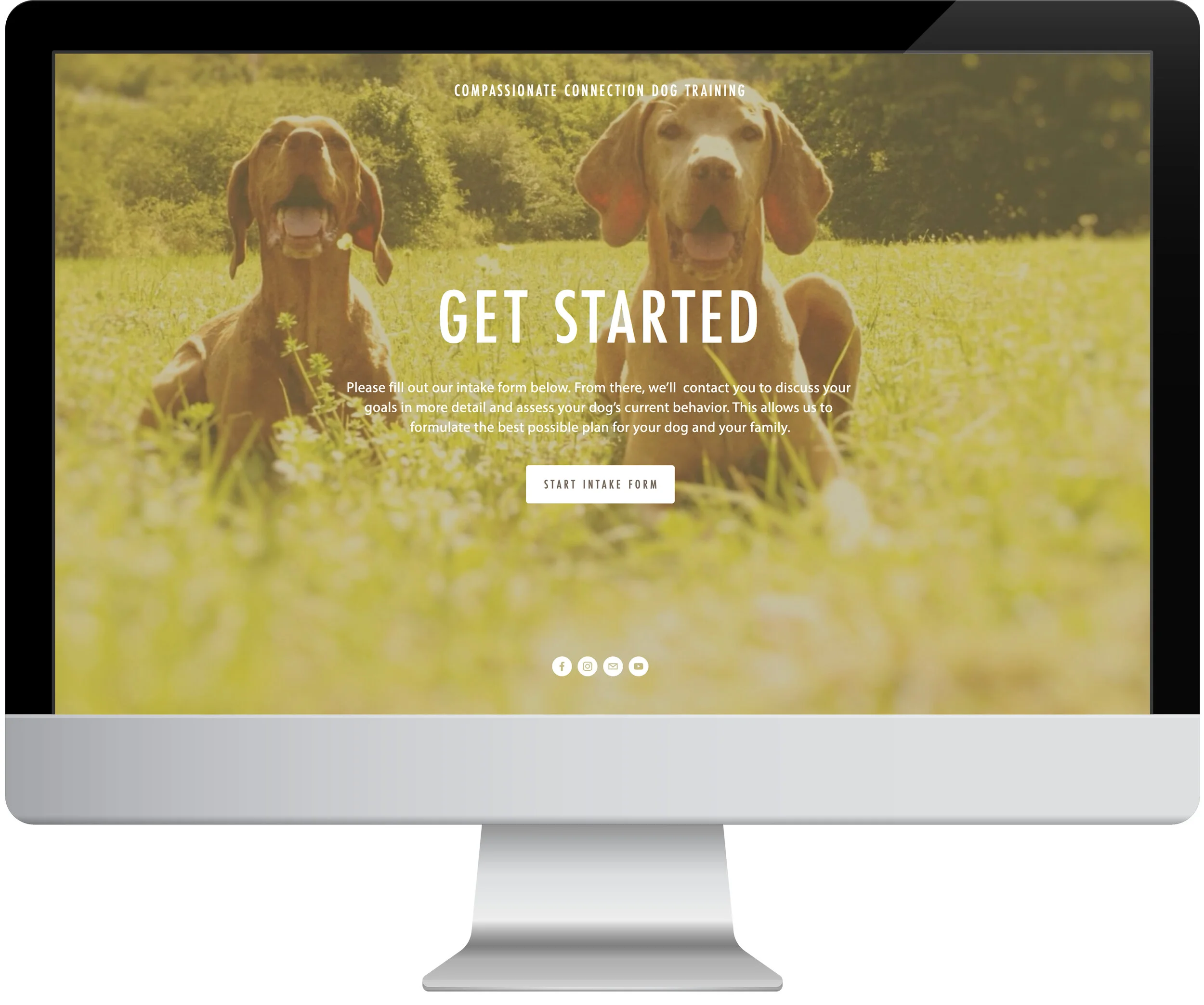 CCD_web_getstarted.jpg