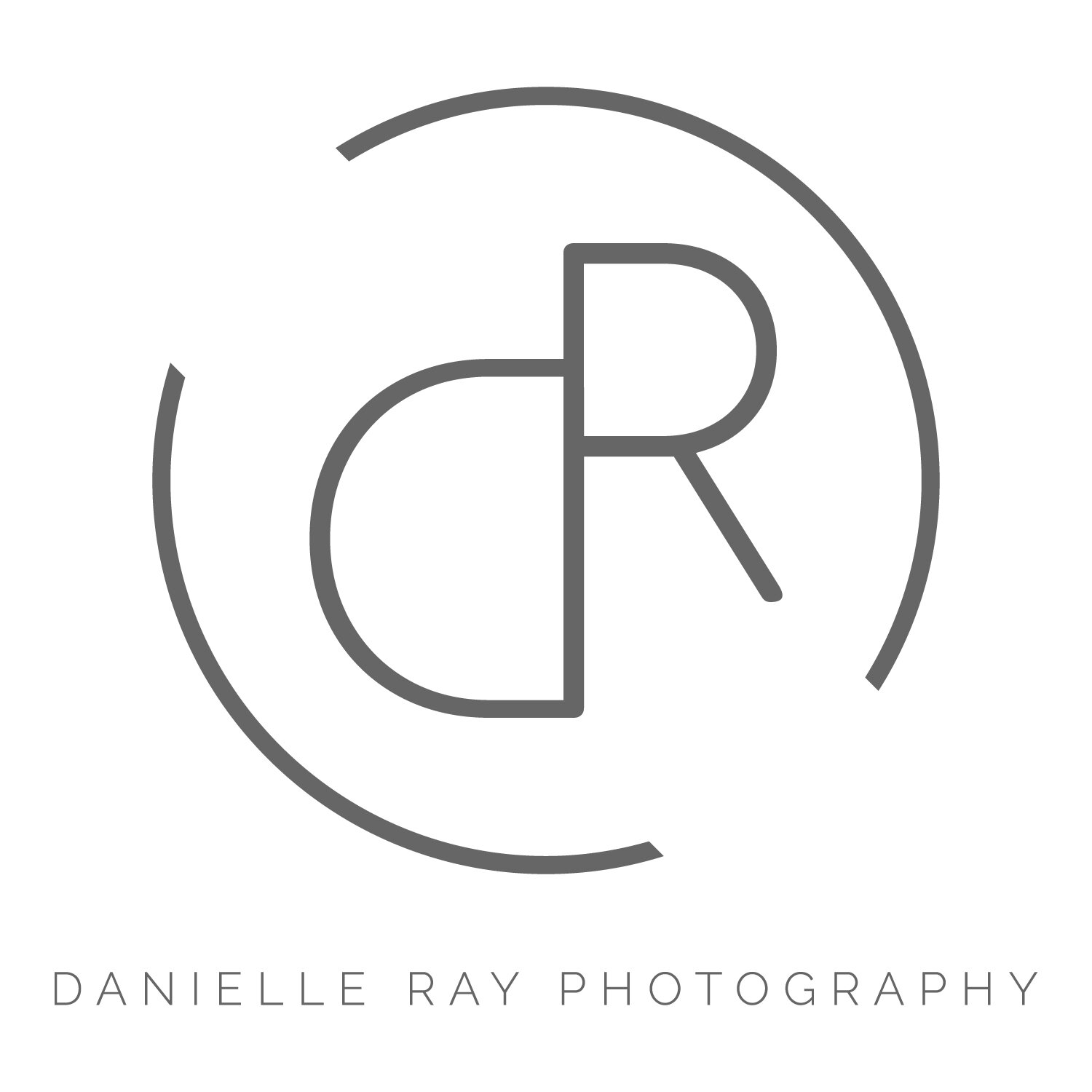 DanielleRay_Logo_full_grey.jpg