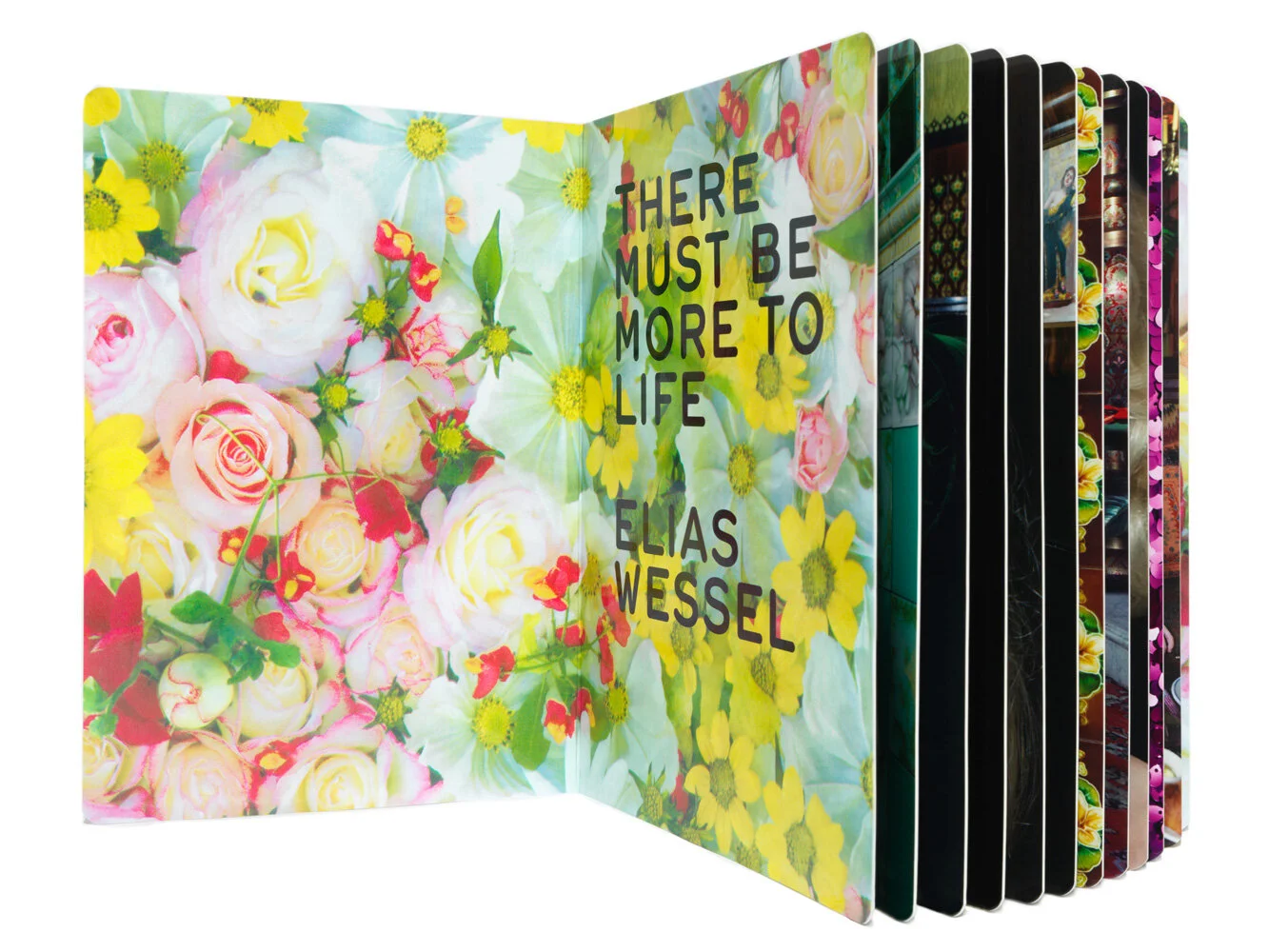 ELIASWESSEL_ThereMustBeMoreToLife_Book_009_Book3.jpg