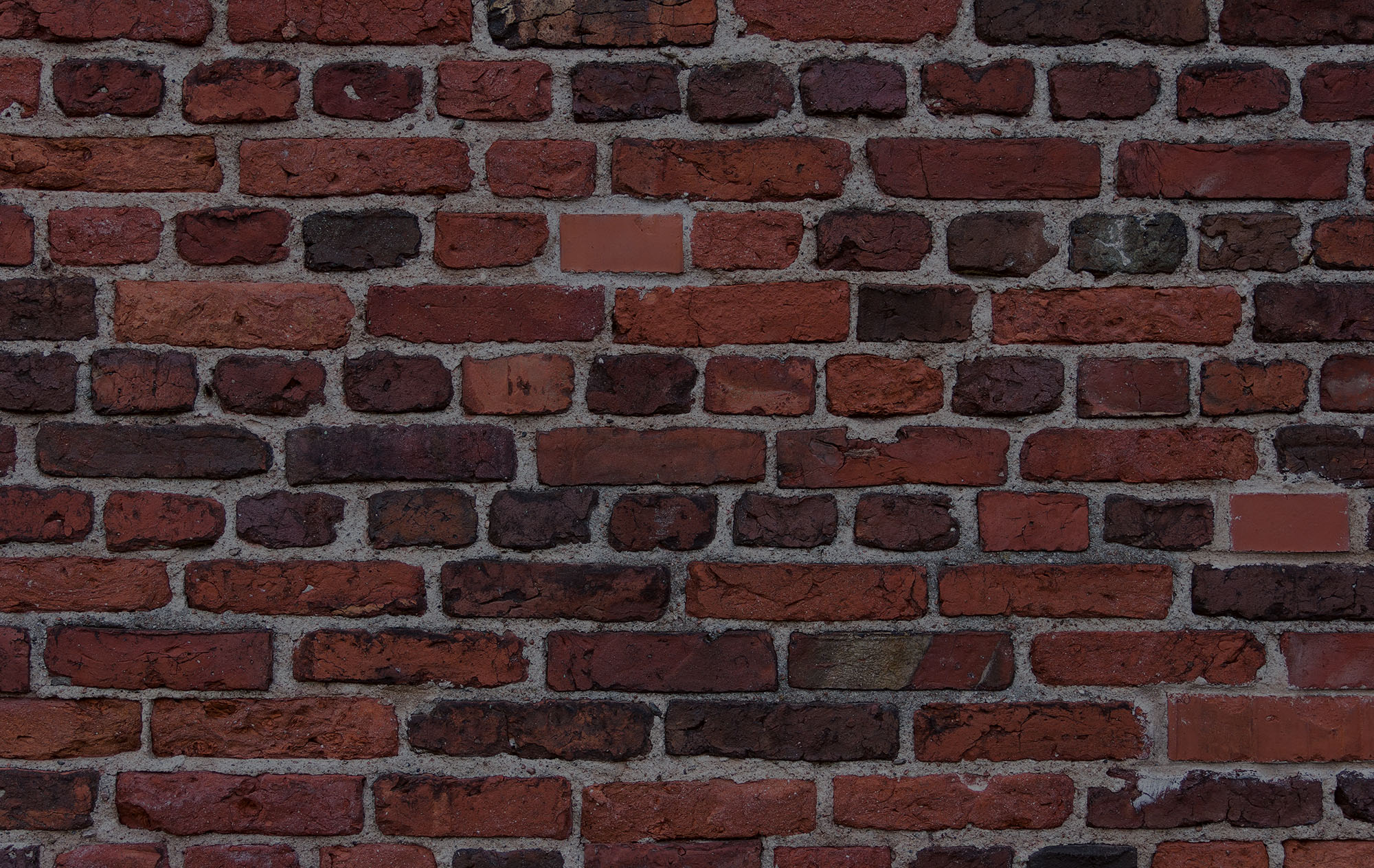 quote_background.jpg