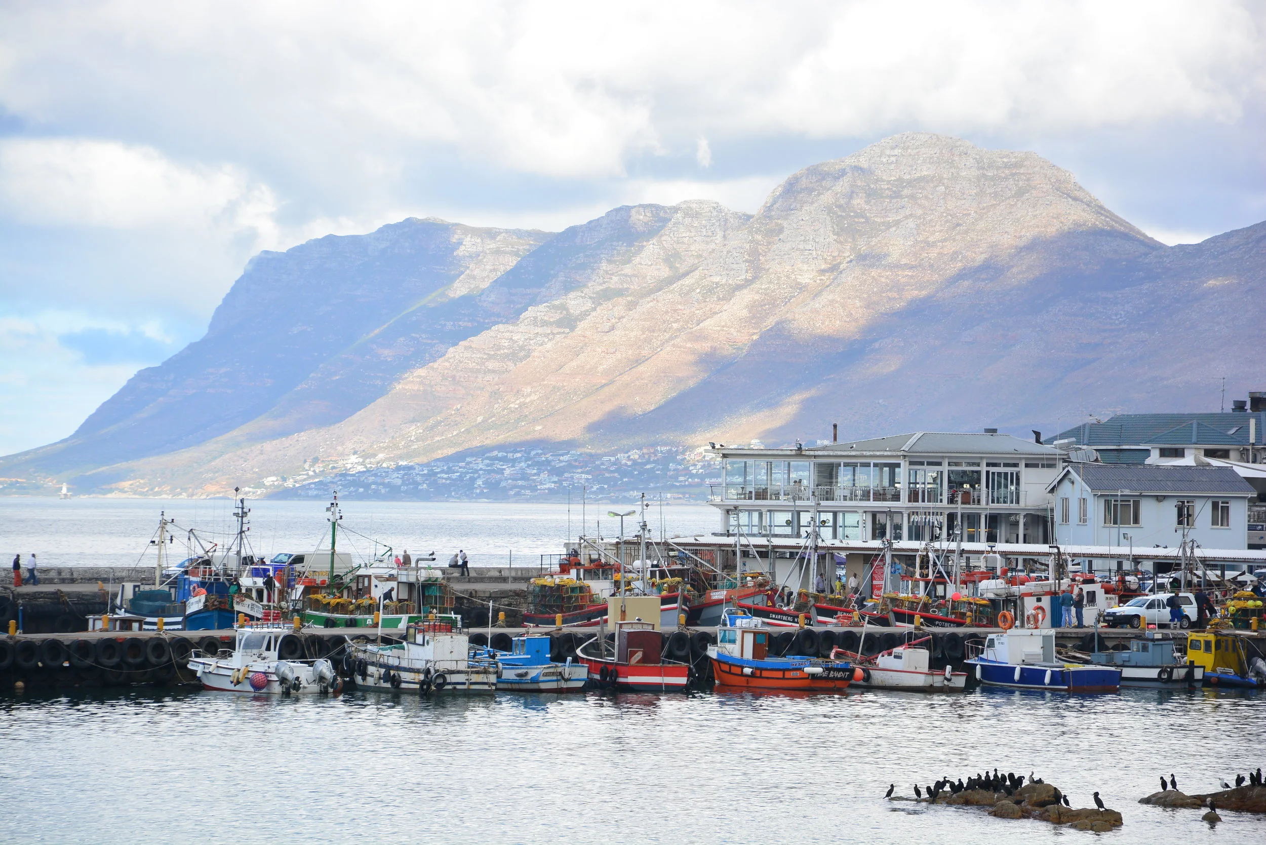 DSC_0557.JPG