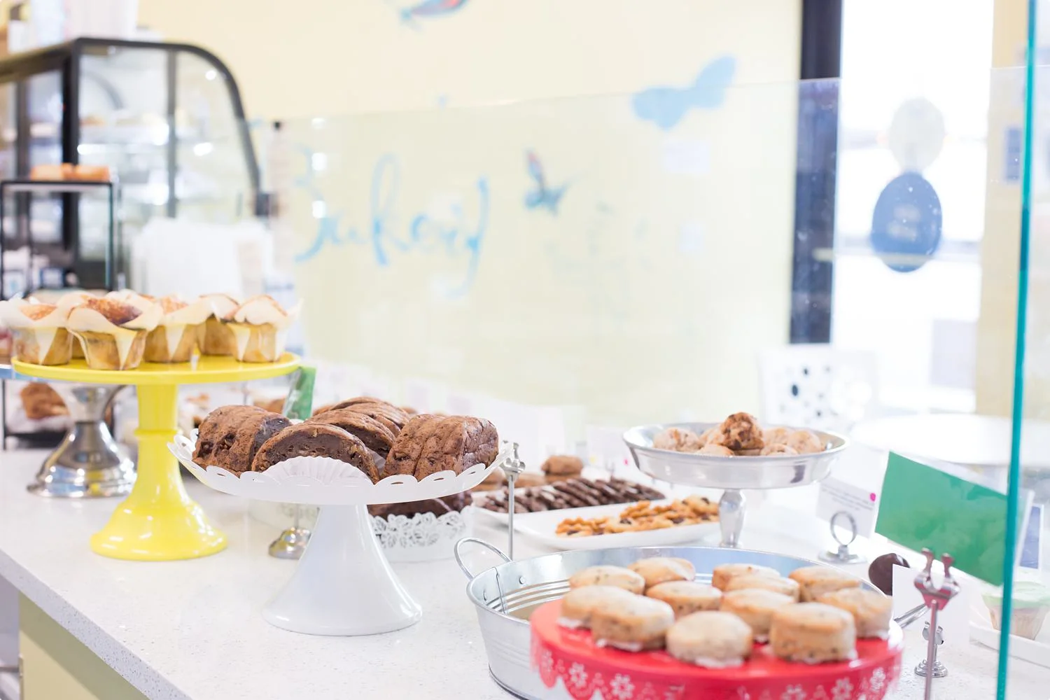 BDA Spotlight_Carina's Bakery-9979_WEB_.jpg