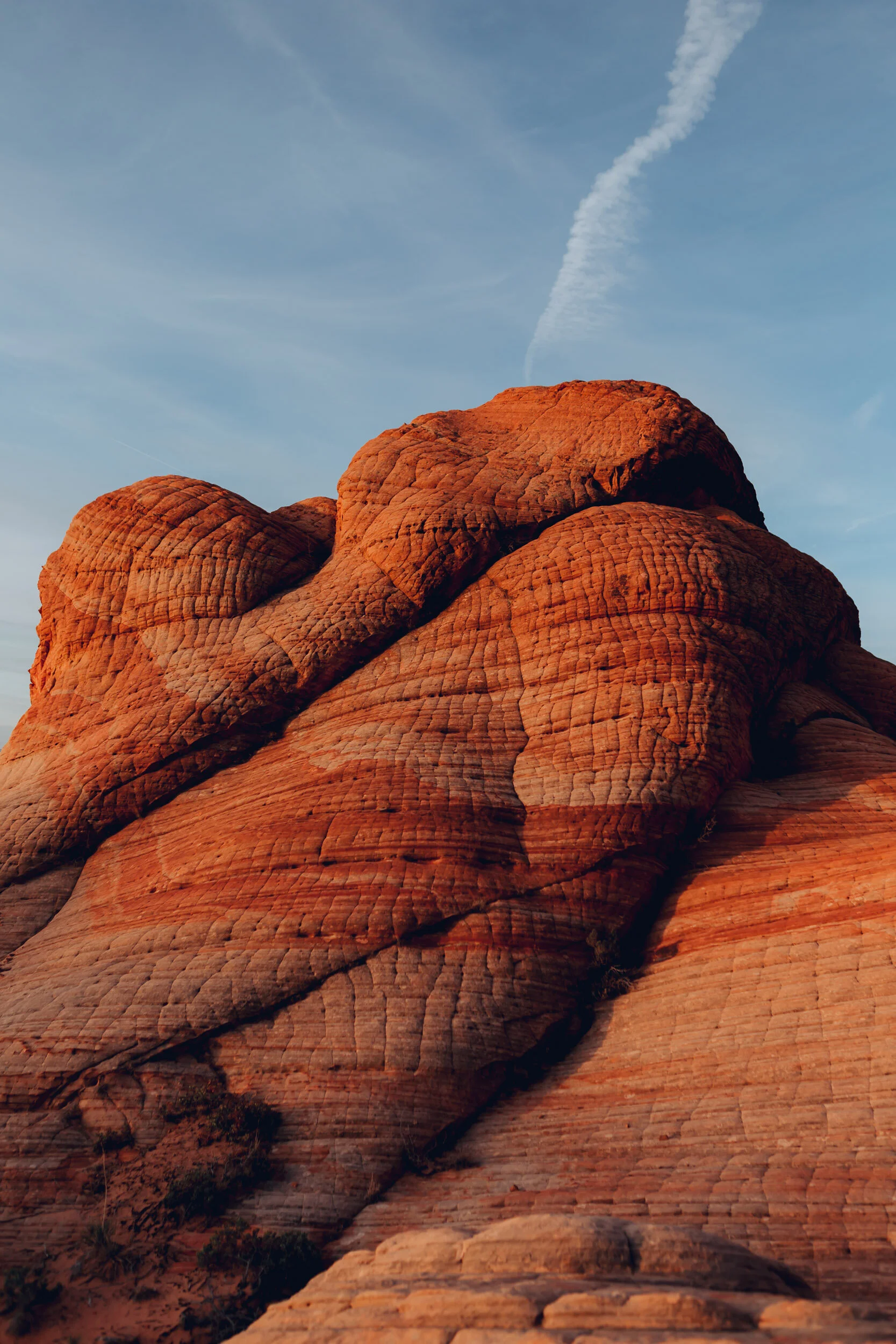 Textures of a Desert Road Trip