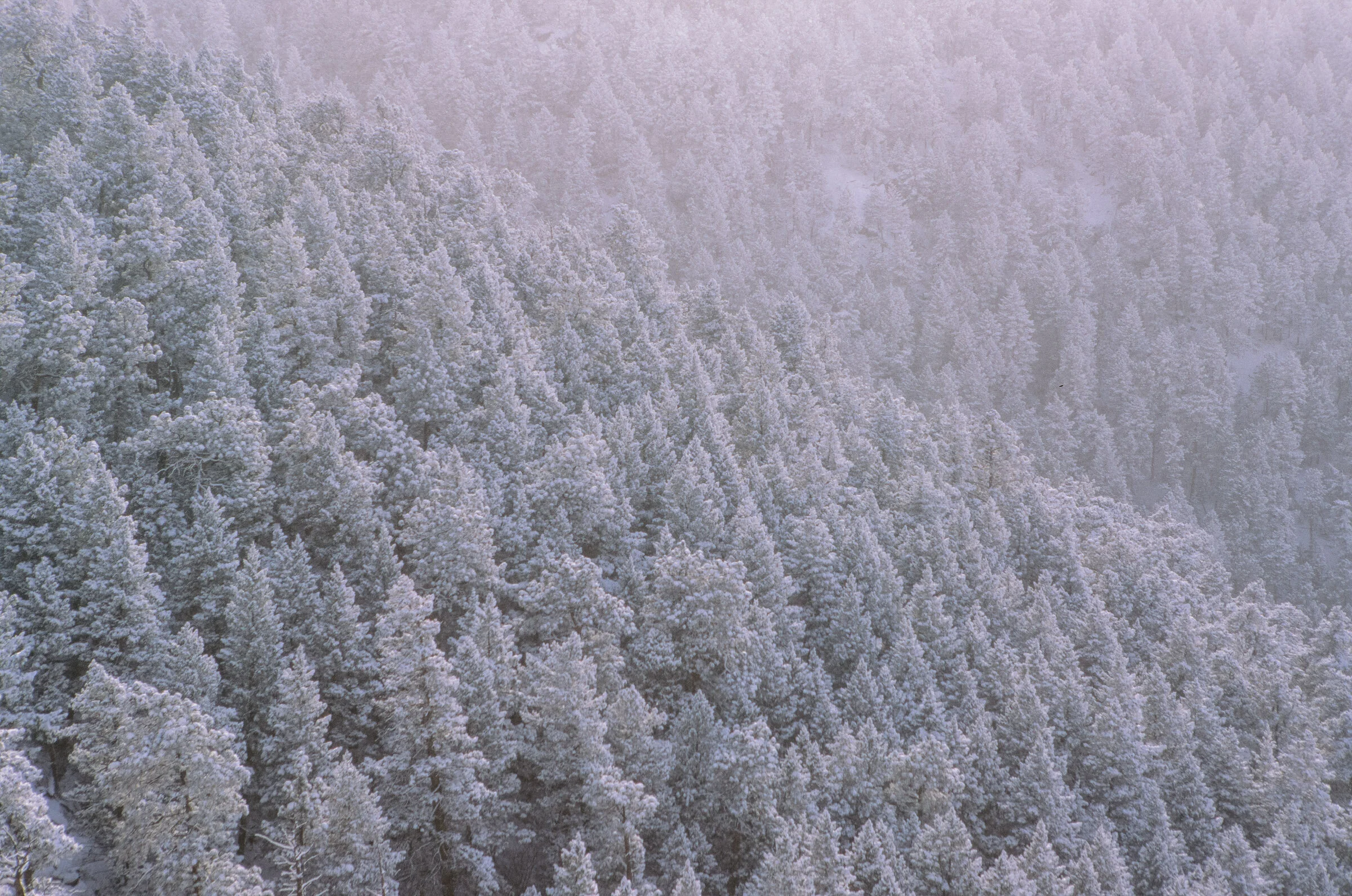 329540_0020.JPG