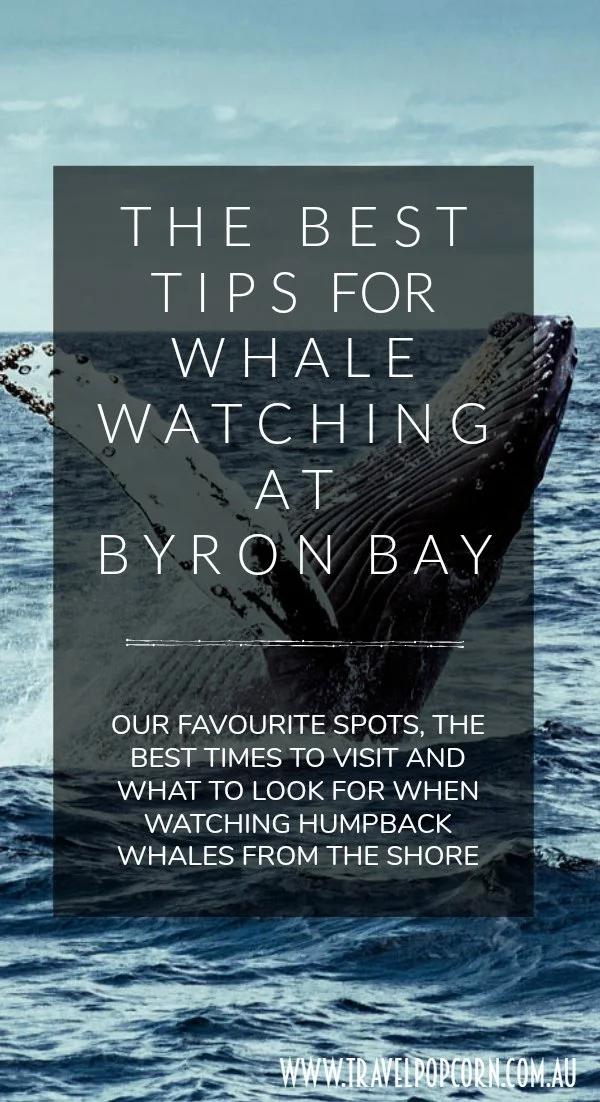 byronwhalewatching3.jpg