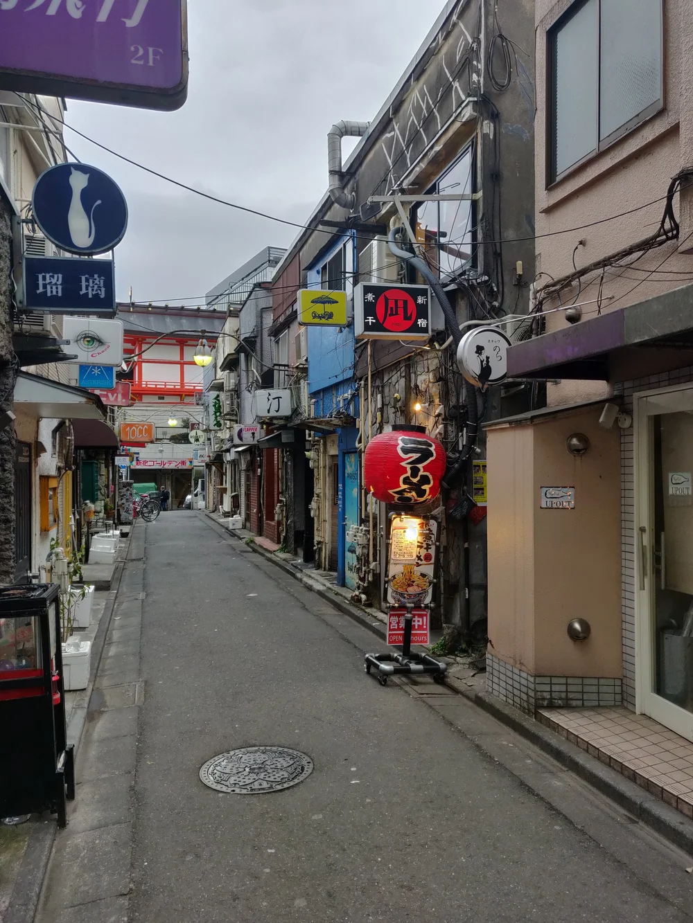 Sugoi Niboshi Ramen Nagi すごい煮干ラーメン凪 新宿ゴールデン街店本館 Quintessential Late Night Golden Gai Ramen Shinjuku Ramen Guide Japan