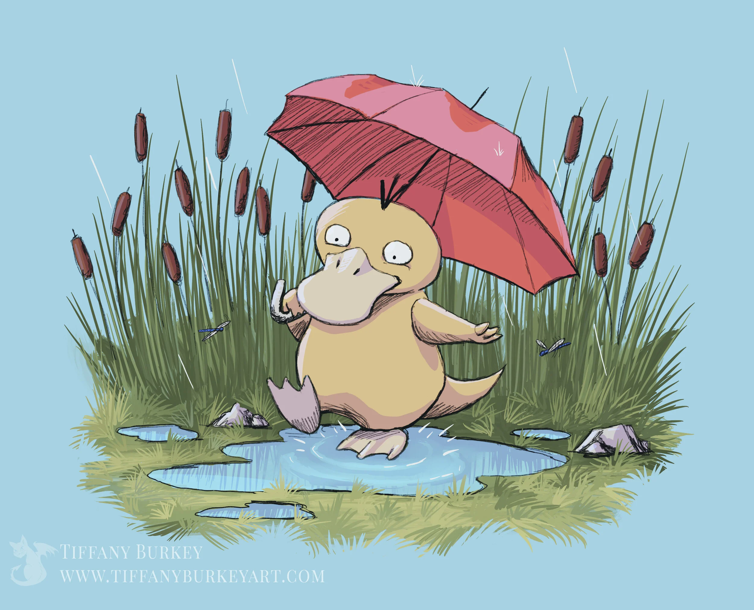 Psyduck-marked.jpg