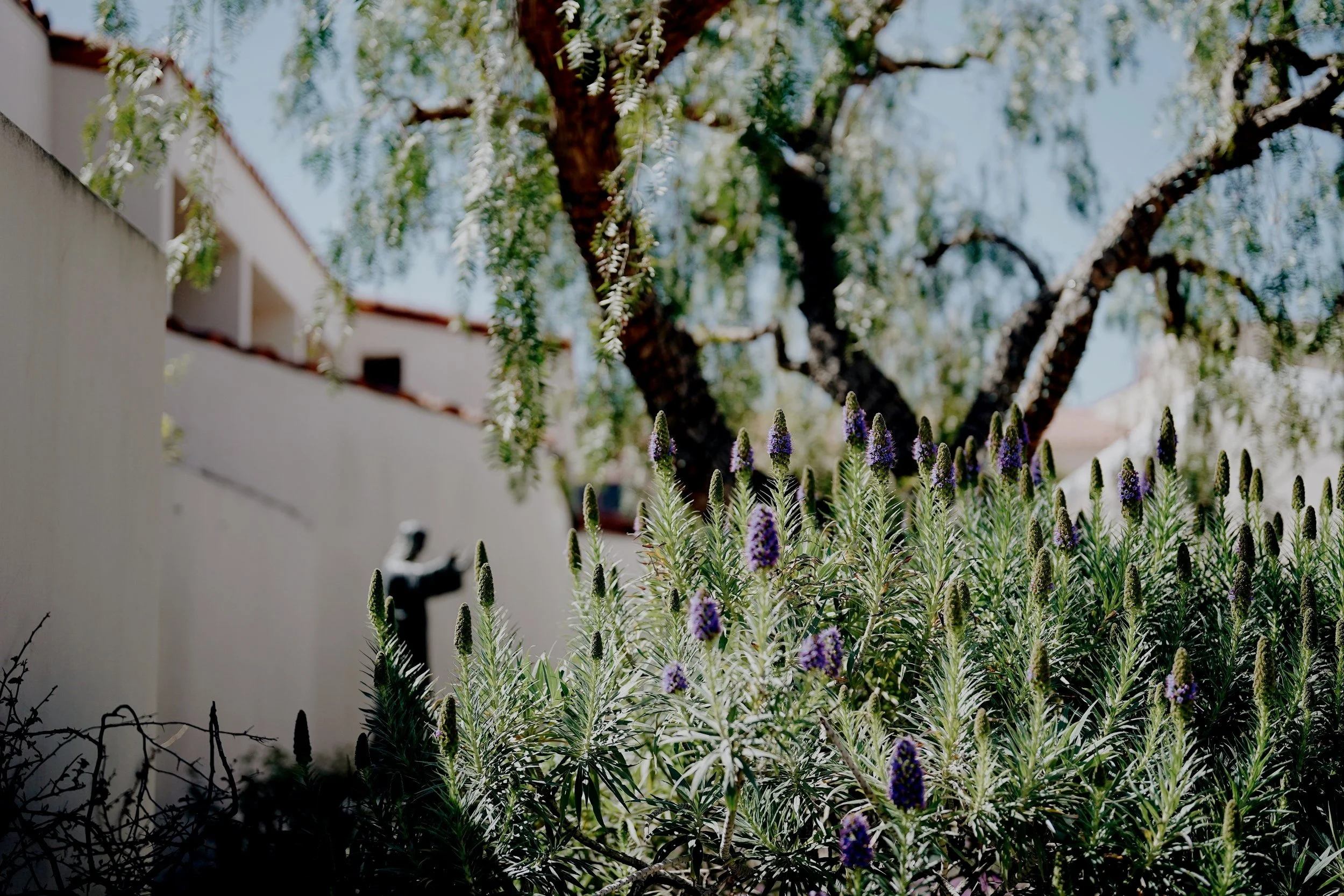 Solano Catholic Church