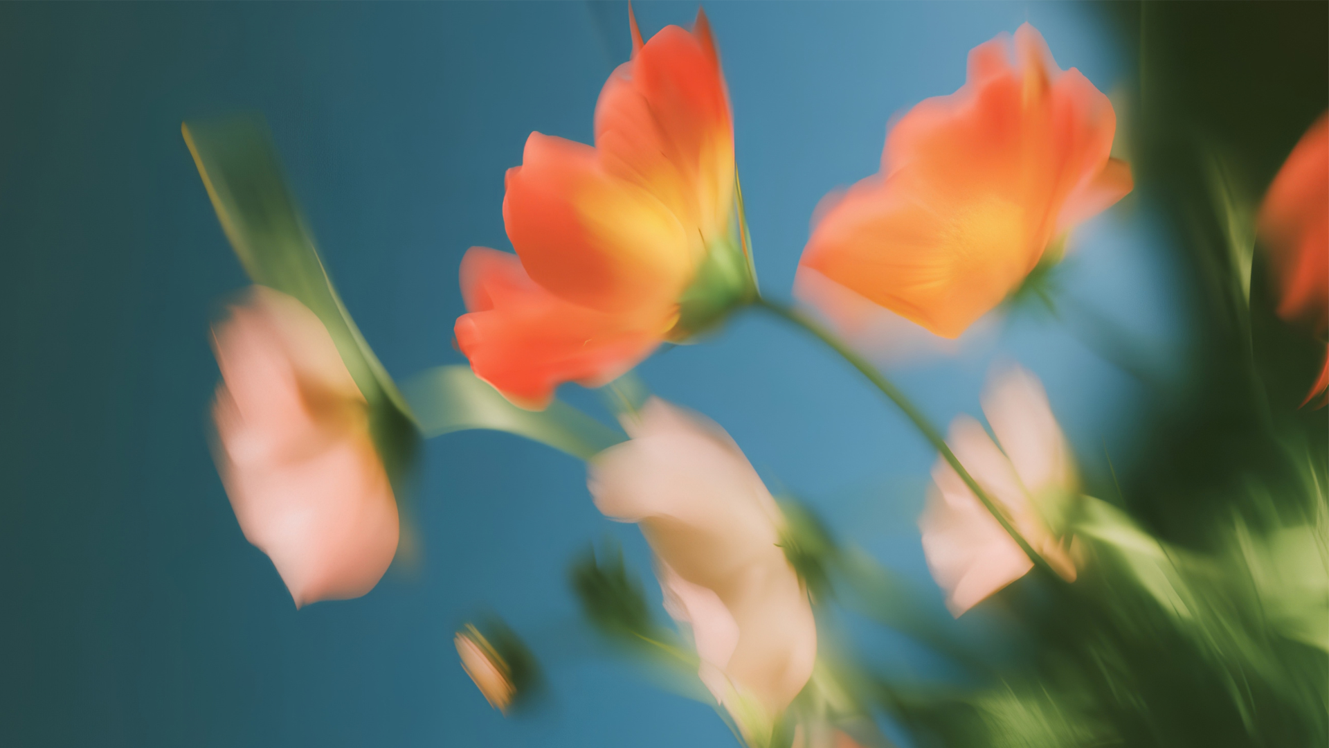 Untitled design - 2026-10-04T112930.612.png