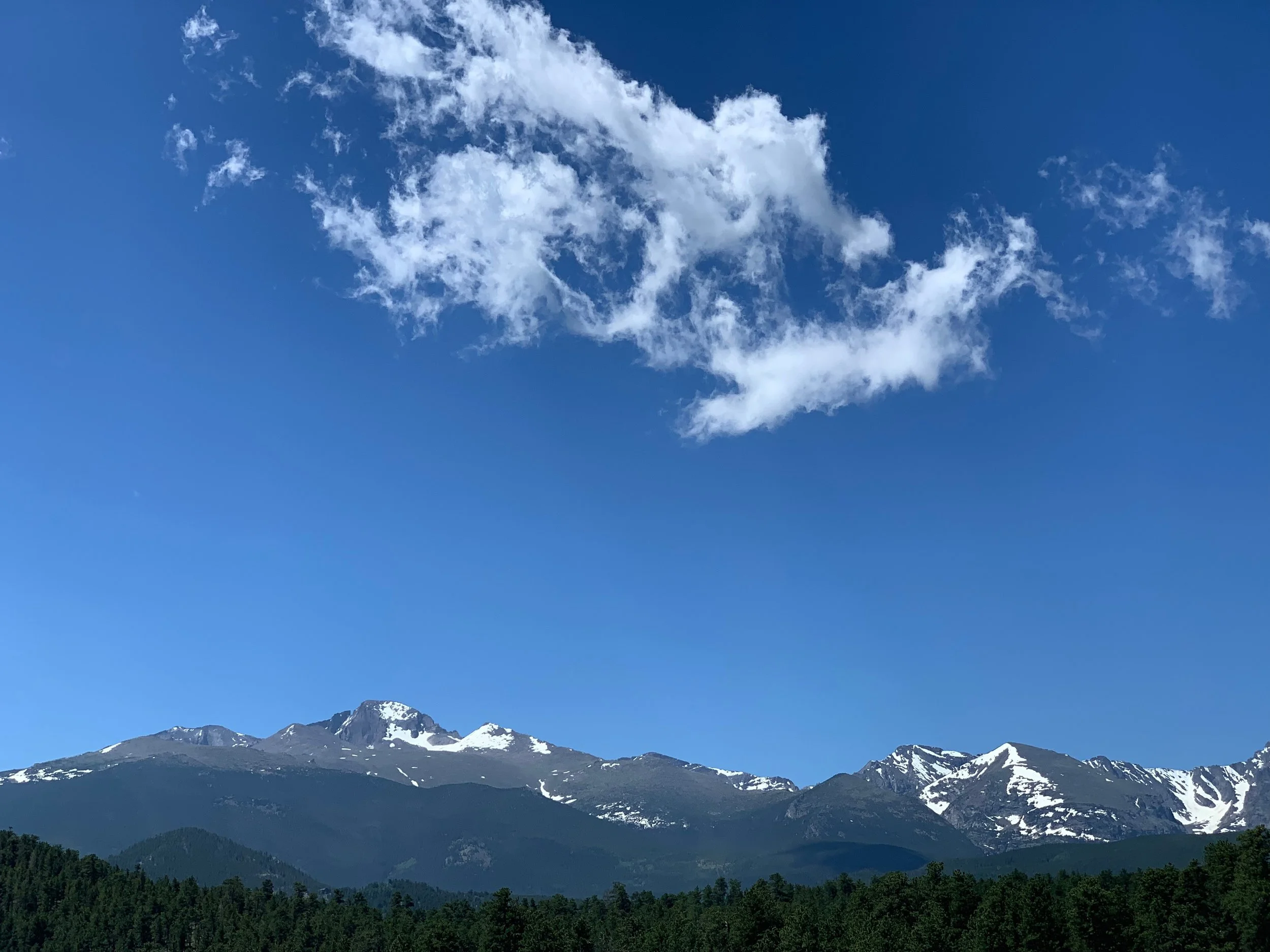 Photo Credit : Debanjana Chatterjee (https://www.facebook.com/ardourart/)