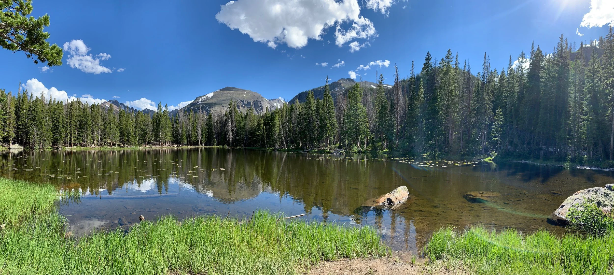 Photo Credit : Debanjana Chatterjee (https://www.facebook.com/ardourart/)