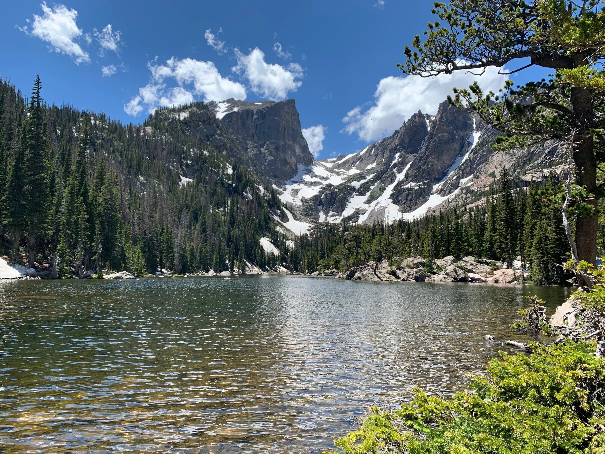 Photo Credit : Debanjana Chatterjee (https://www.facebook.com/ardourart/)