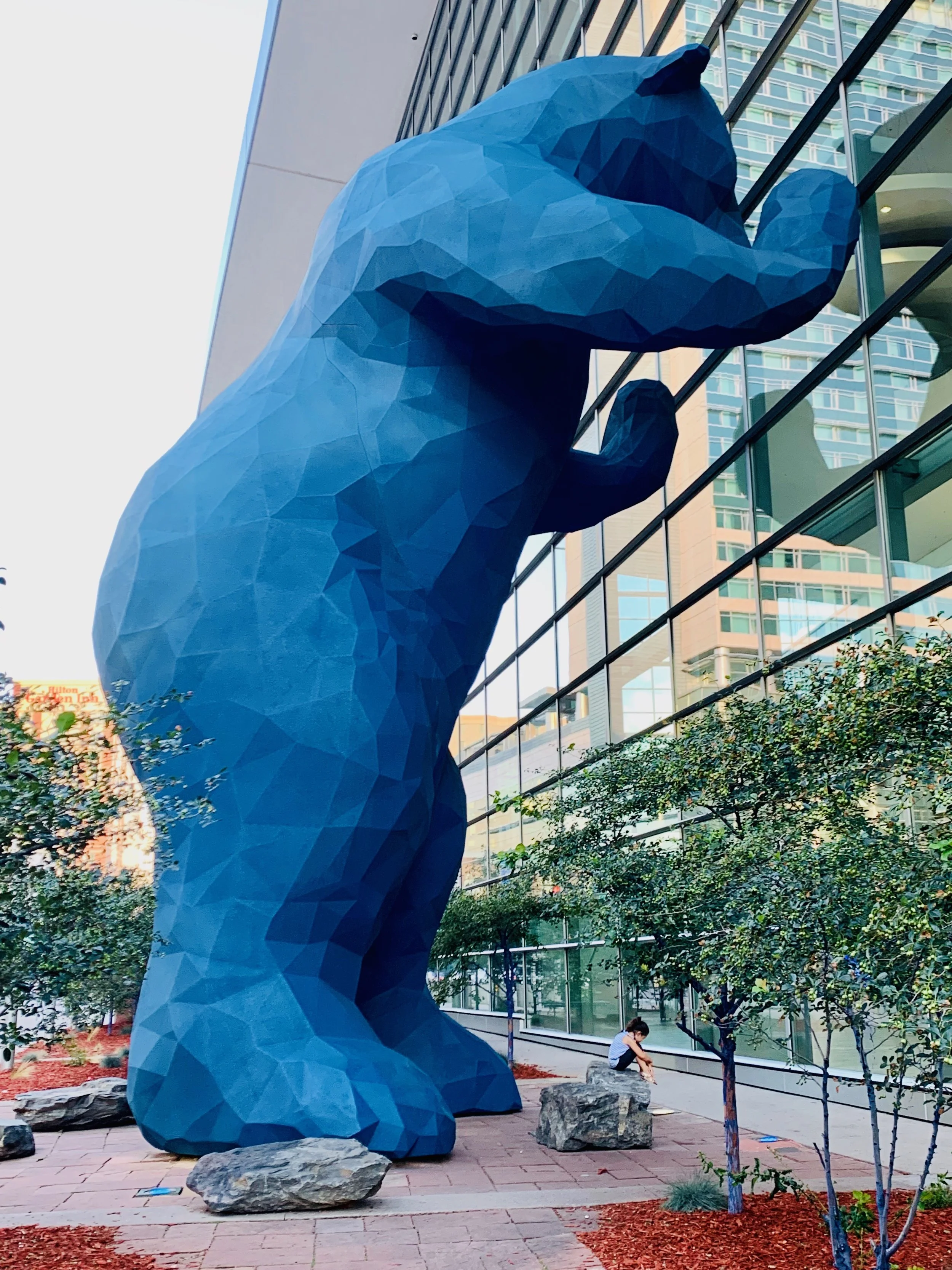 Photo Credit : Debanjana Chatterjee (https://www.facebook.com/ardourart/)