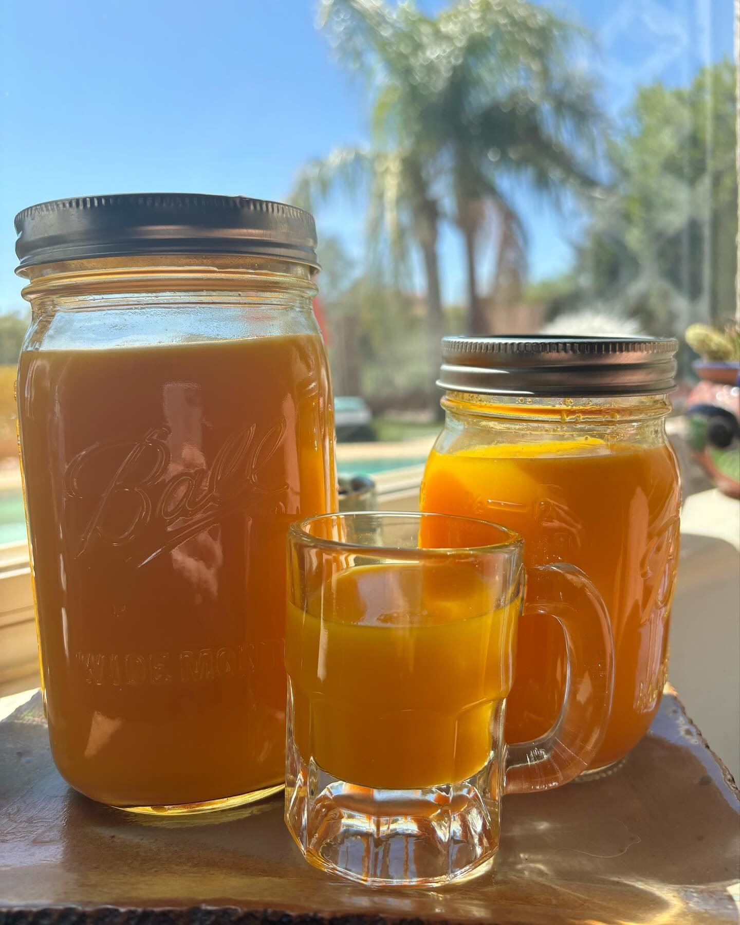 Summer is officially here in Tucson. 87&deg; - a perfect day for shots of fresh pressed juice and sunshine. Cheers!!! #flourishwellness #freshpressedjuice #tumericgingershot #bloom #tumeric