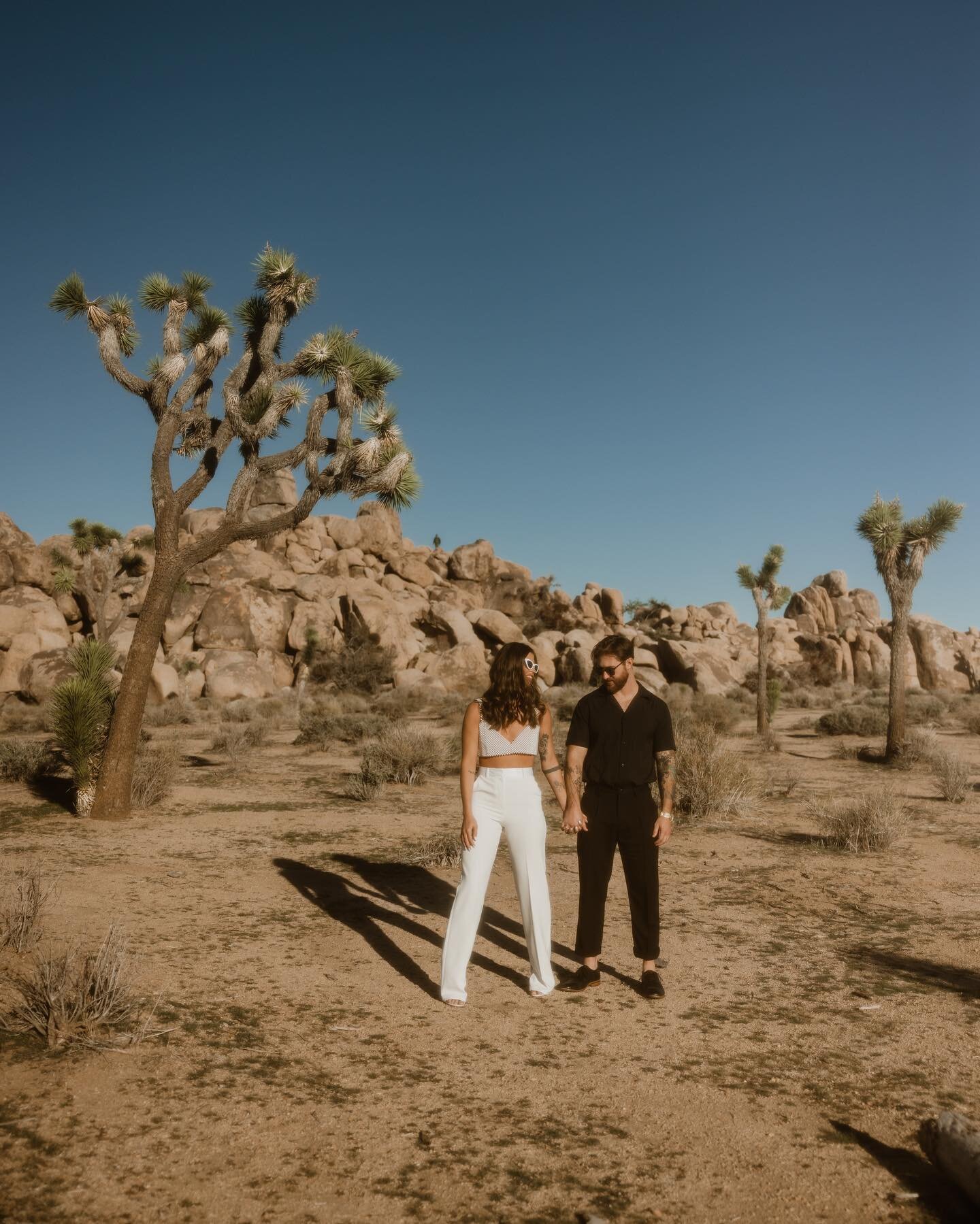 When I first moved to AZ and looking for places to explore, I'd get some pretty mixed opinions on Joshua Tree - either big love for it or pure disdain lol. We met, and I've in the big love club ever since then. #joshuatreenationalpark  #destinationwe