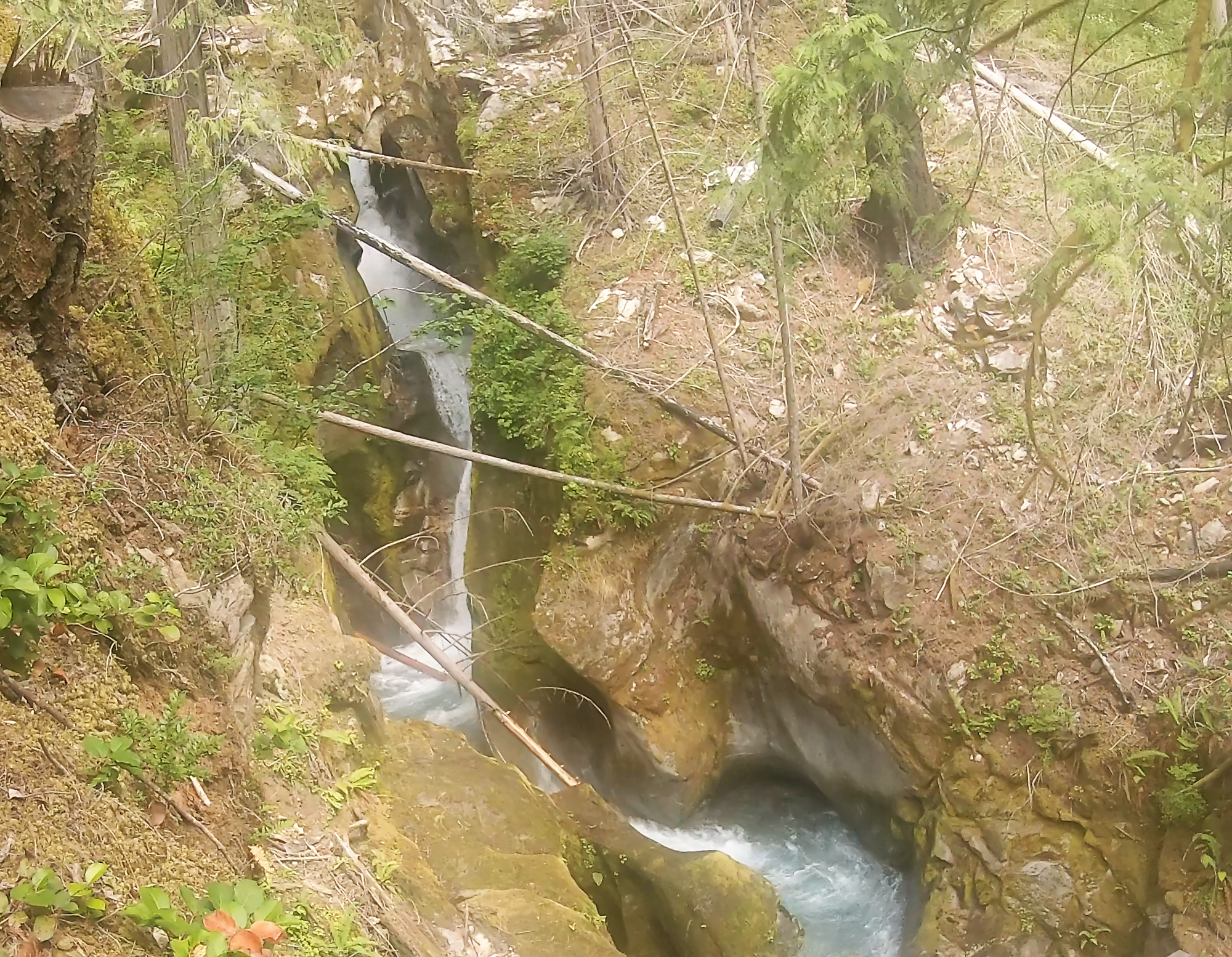 Ladder Creek Falls in North Cascades in Washington State