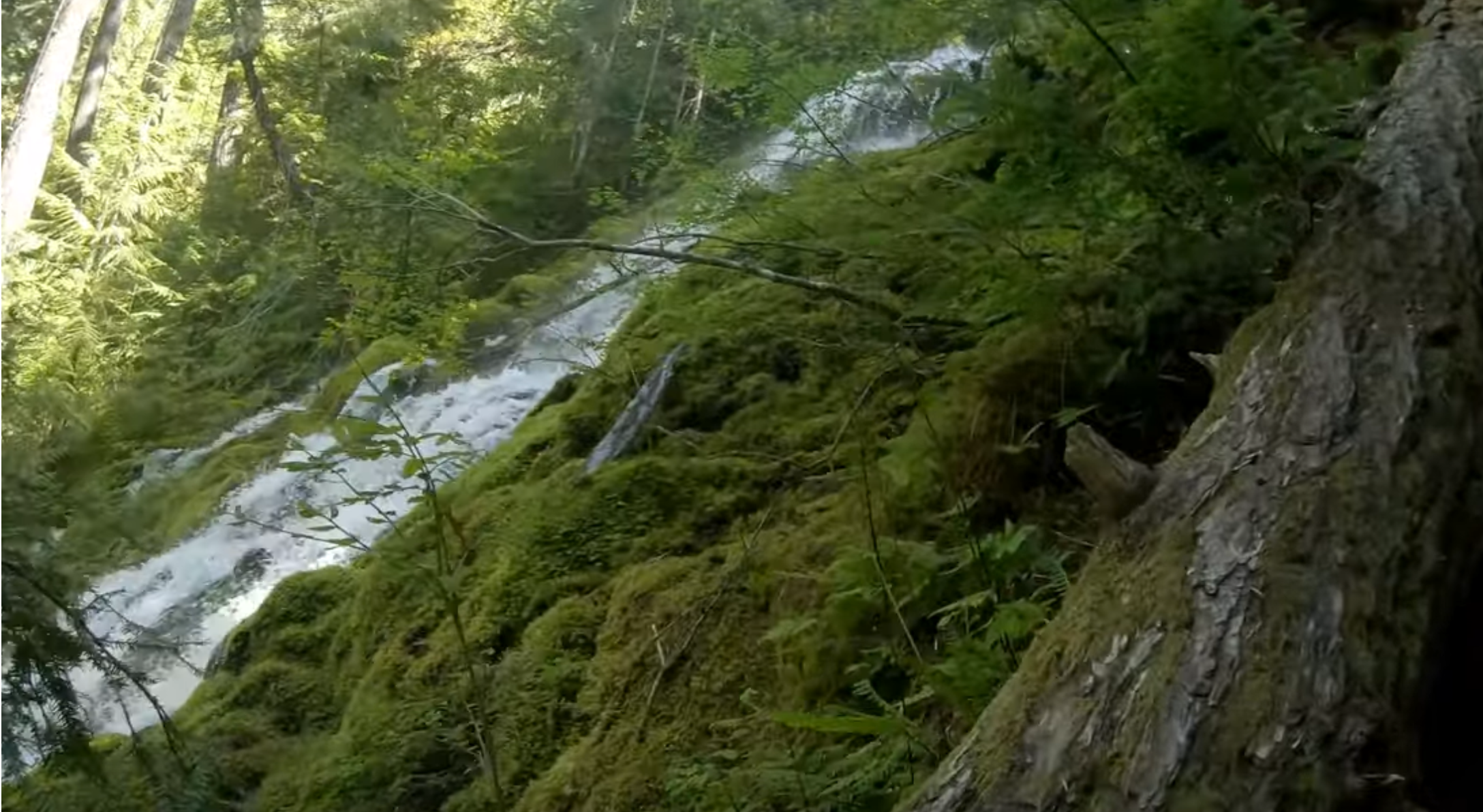 Proxy Falls in Oregon