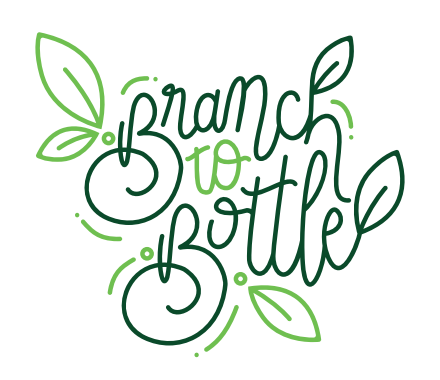 branchtobottle.png