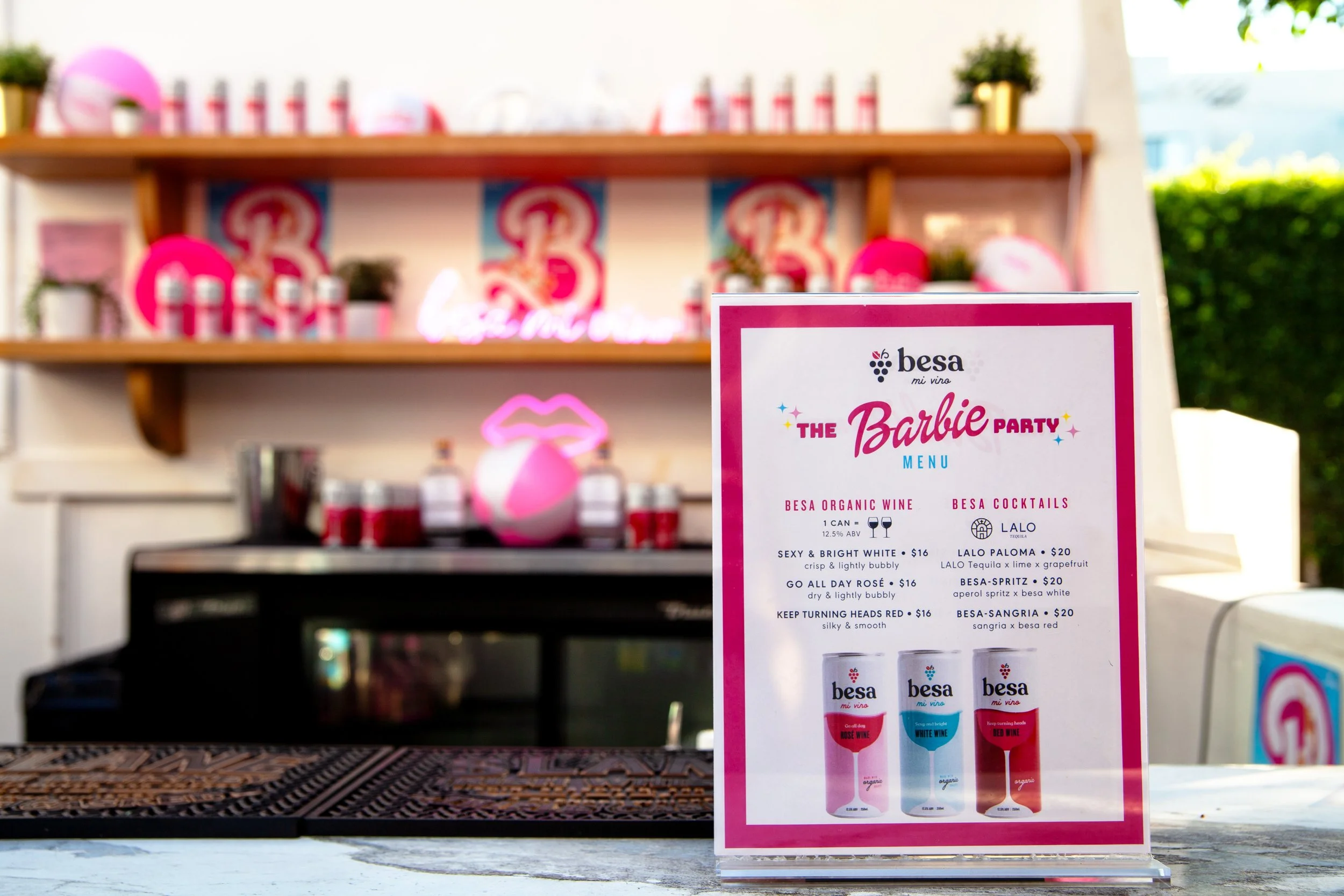 Besa Mi Vino Barbie Fashion Show 