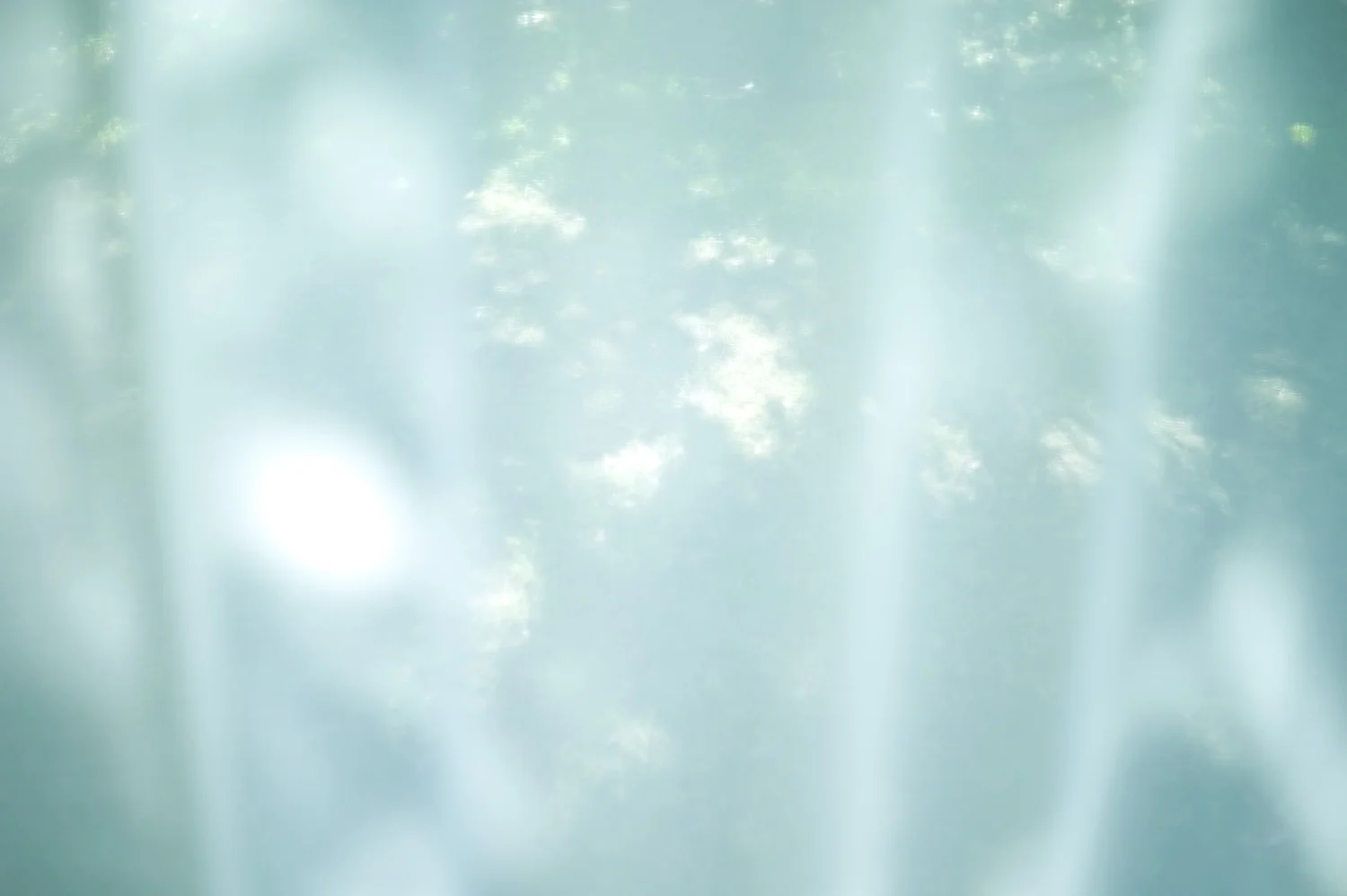 L1003971.jpg