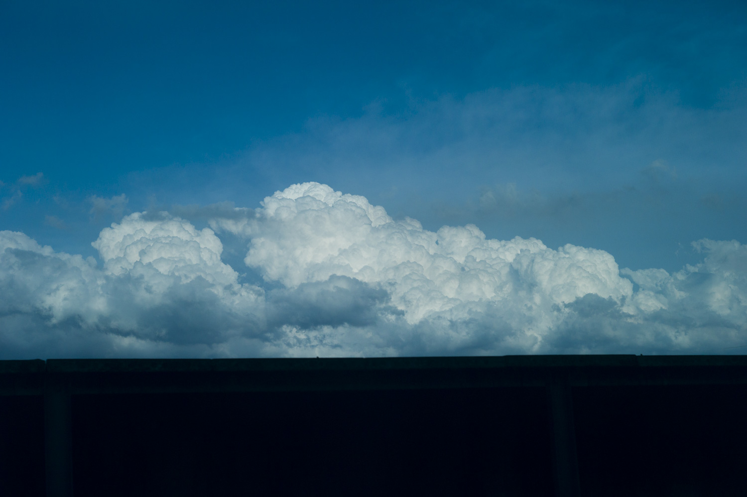 L1002819.jpg
