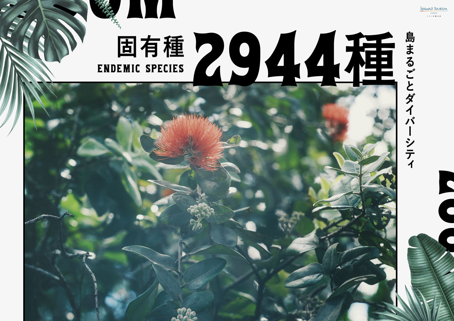 hawaii_OOH_omotesando_hawaiian_ilands_0423_ol_endemic.jpg