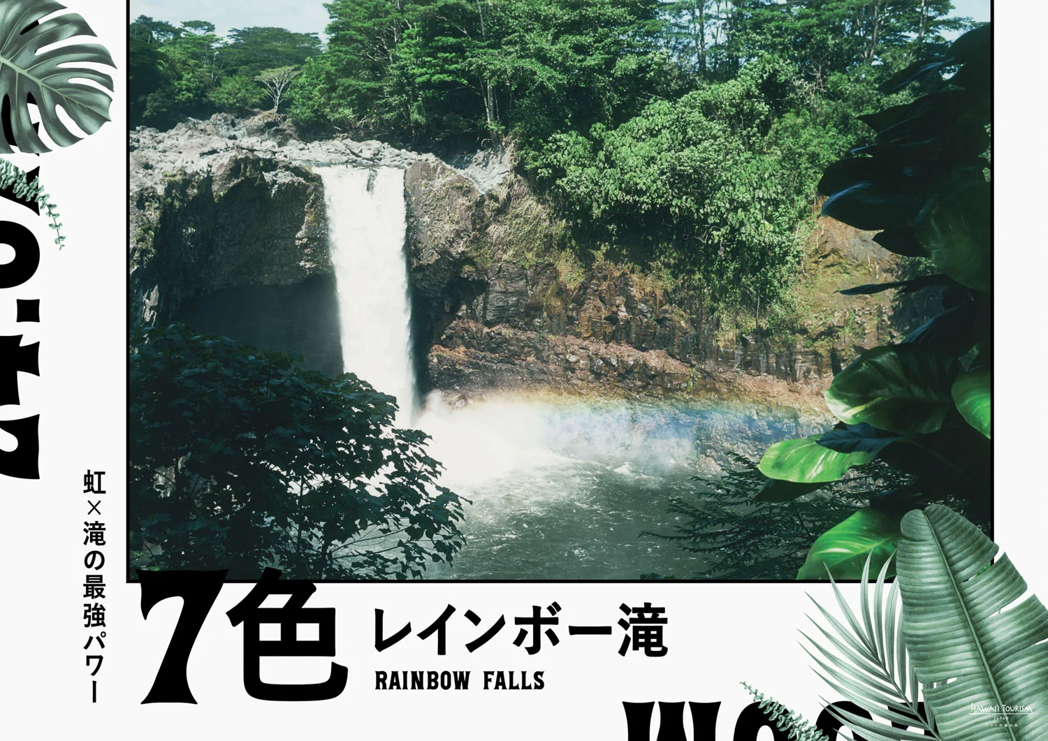 hawaii_OOH_omotesando_hawaii_0423_ol_rainbow.jpg