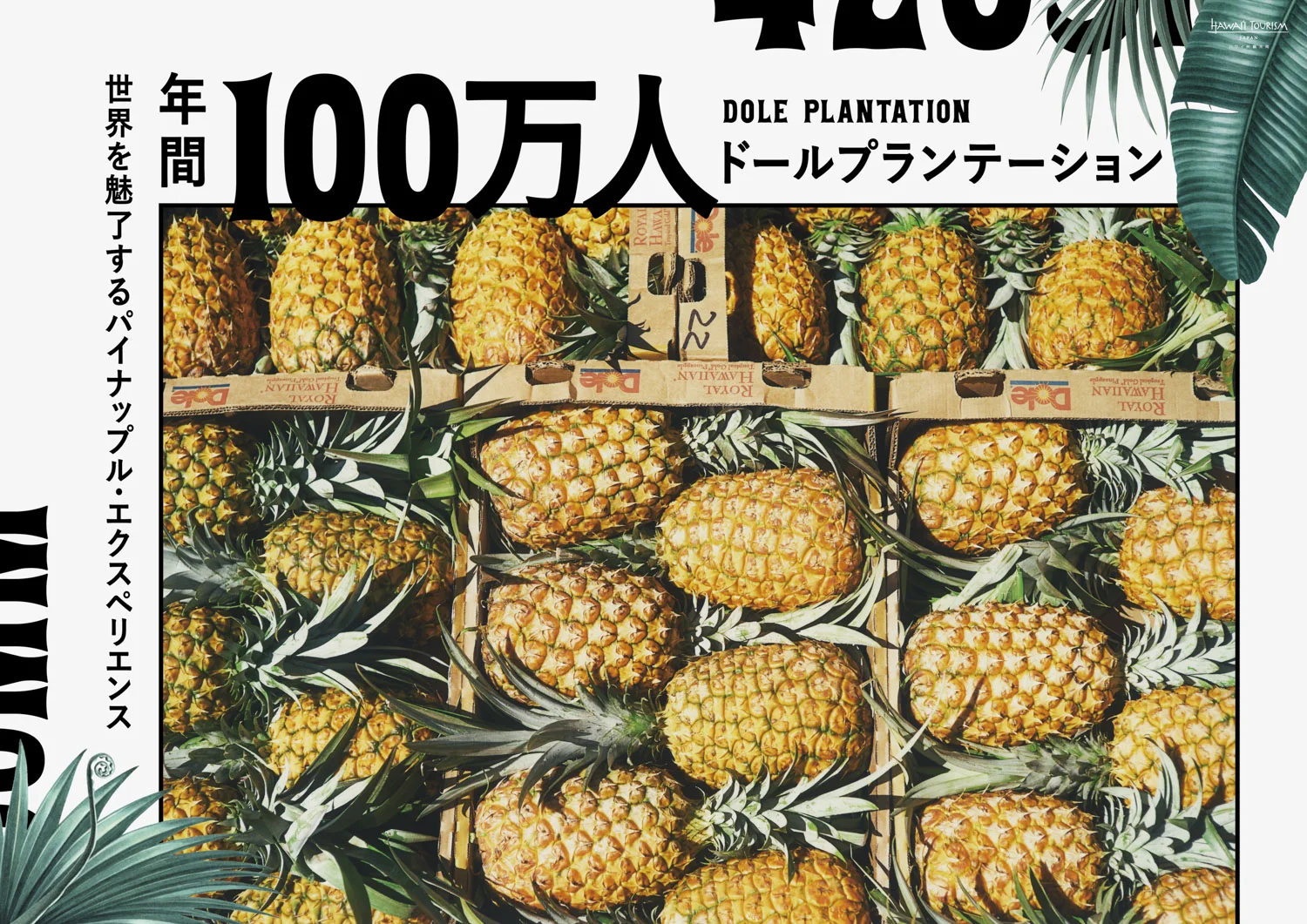 hawaii_OOH_omotesando_oahu_0423_ol_dole.jpg