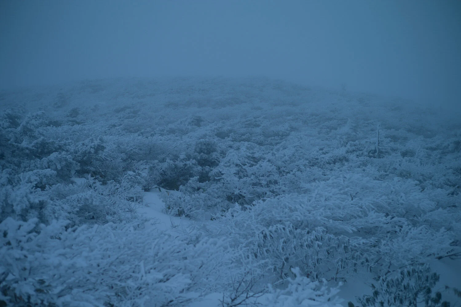 L1084378.jpg