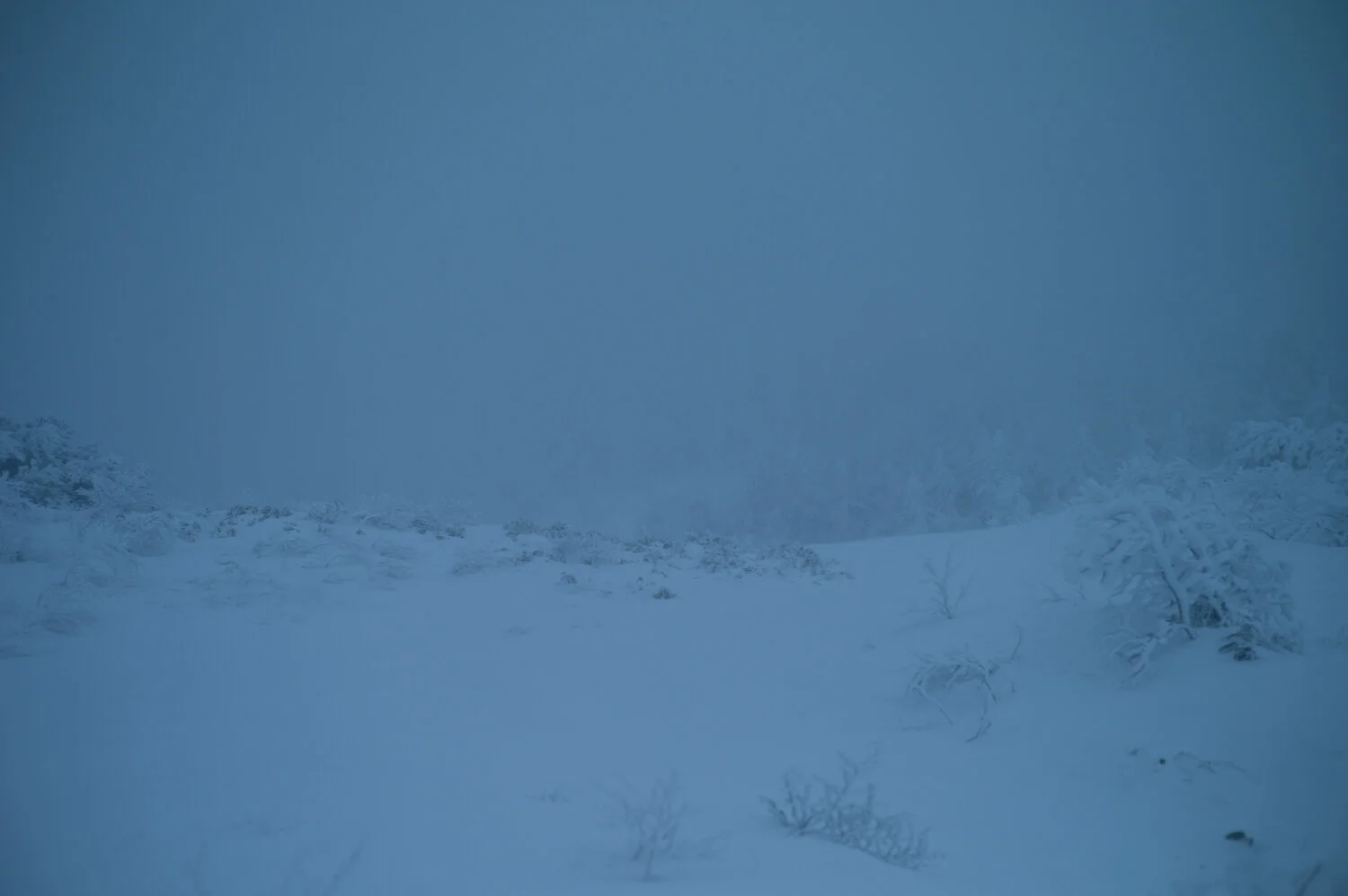 L1084376.jpg