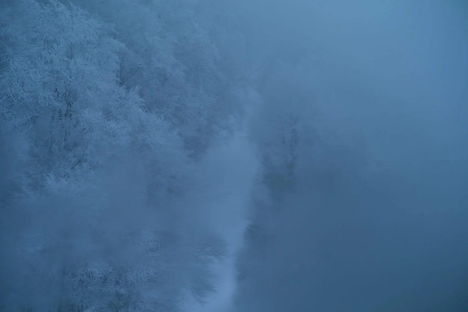 L1084345.jpg