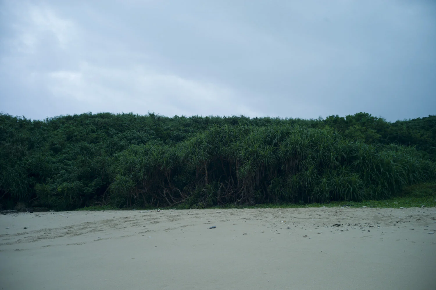 L1015750.jpg