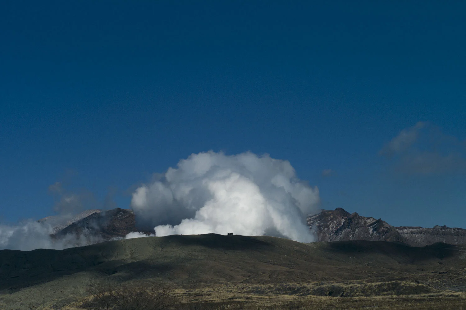 L1014341.jpg