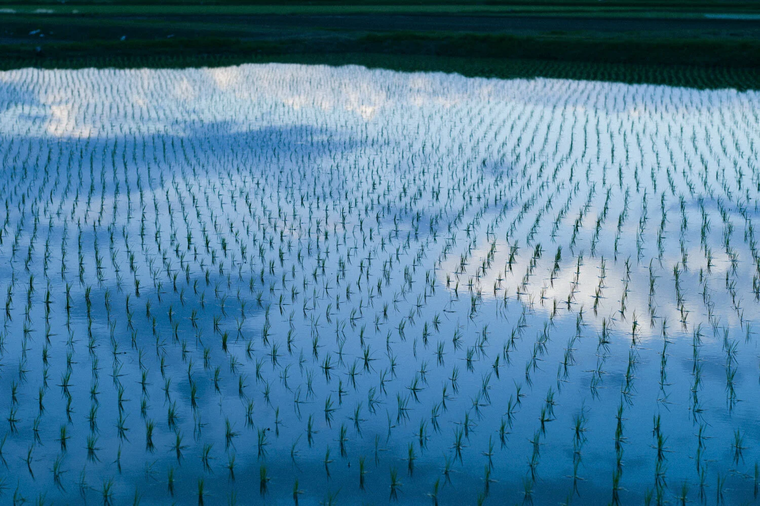 L1001373.jpg