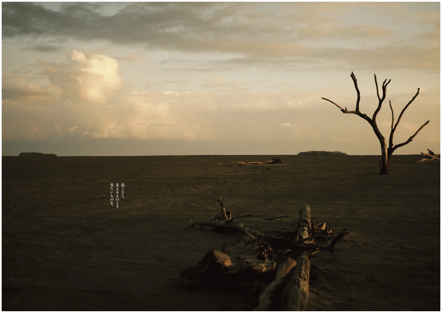 絵描くなら見えるものより見たいものを_アートボード 1.jpg