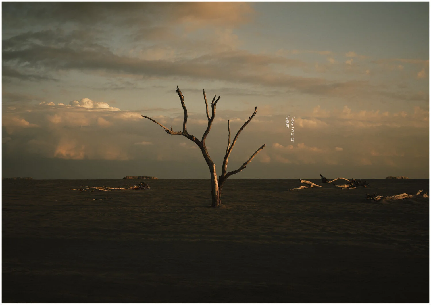 わからないは可能性_アートボード 1.jpg