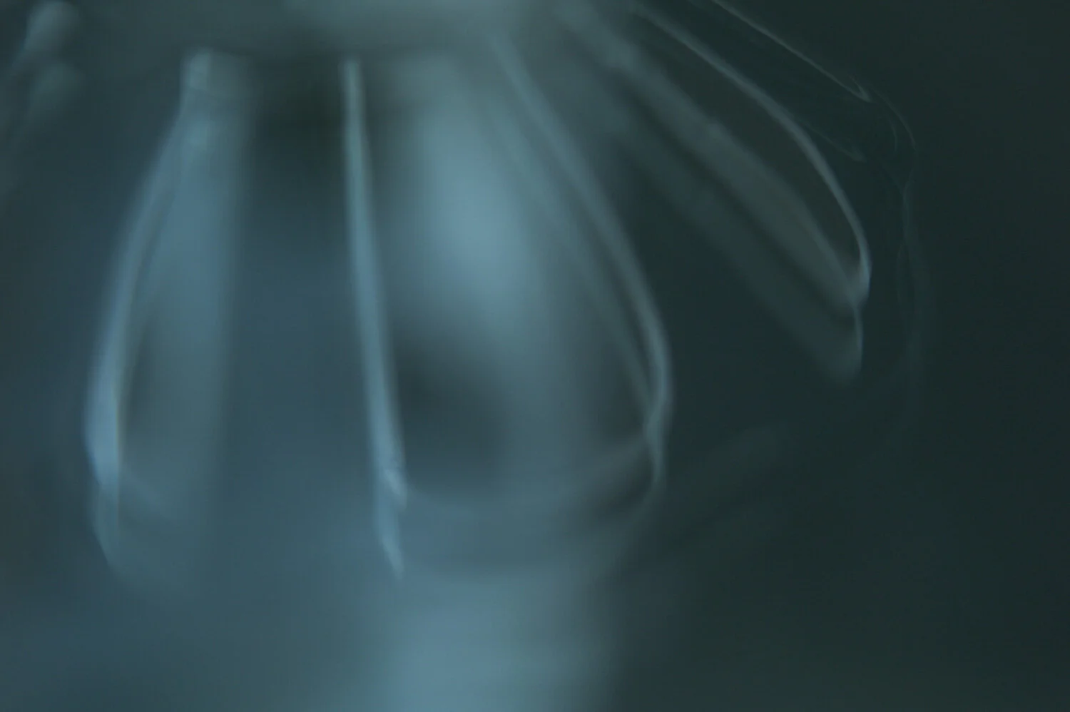 L1015615.jpg