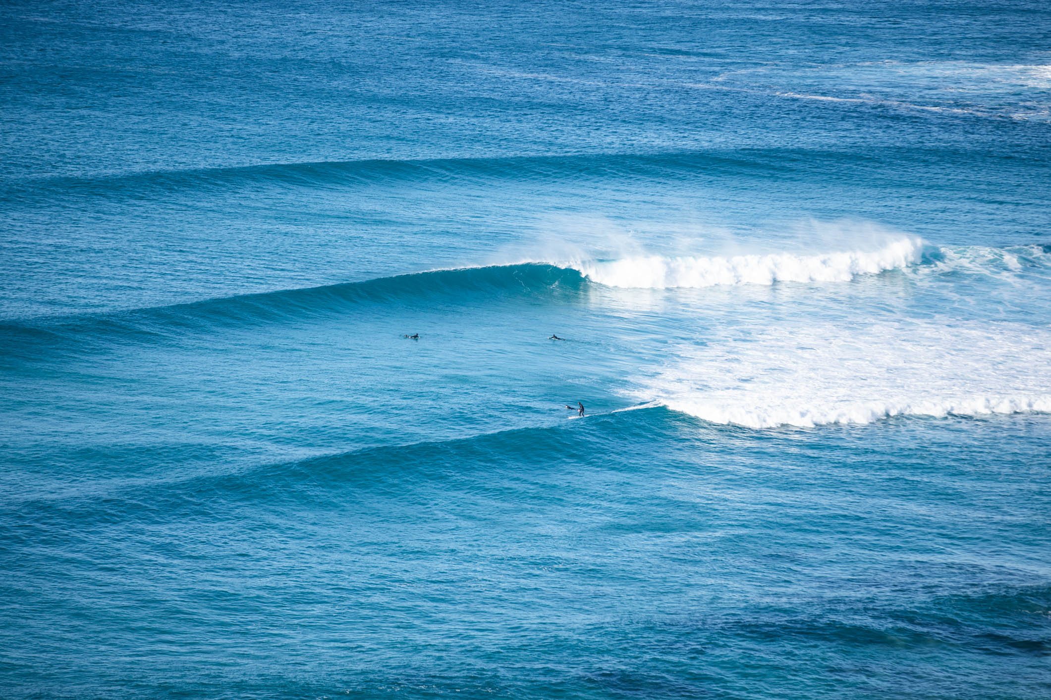 Surfline-5.jpg