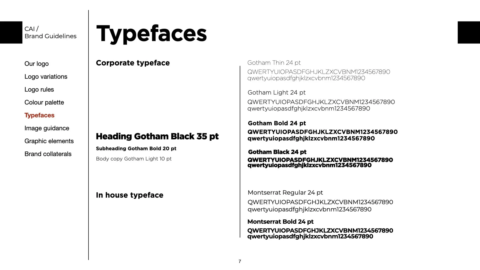 Final Brand Guidlines - CAI.007.jpeg