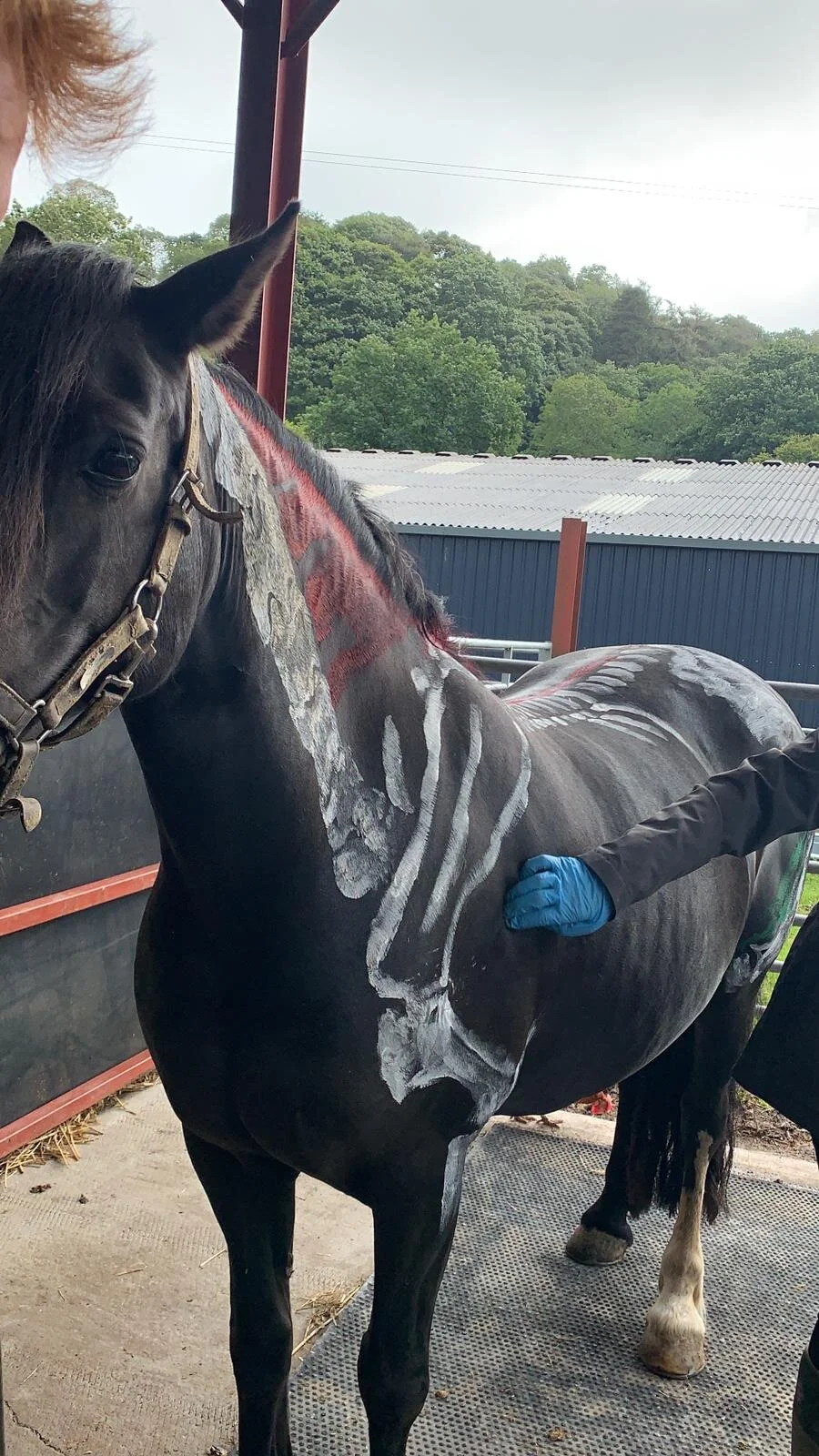 2E8108FF-BAE7-4F28-ABD2-C9C43B779BB4