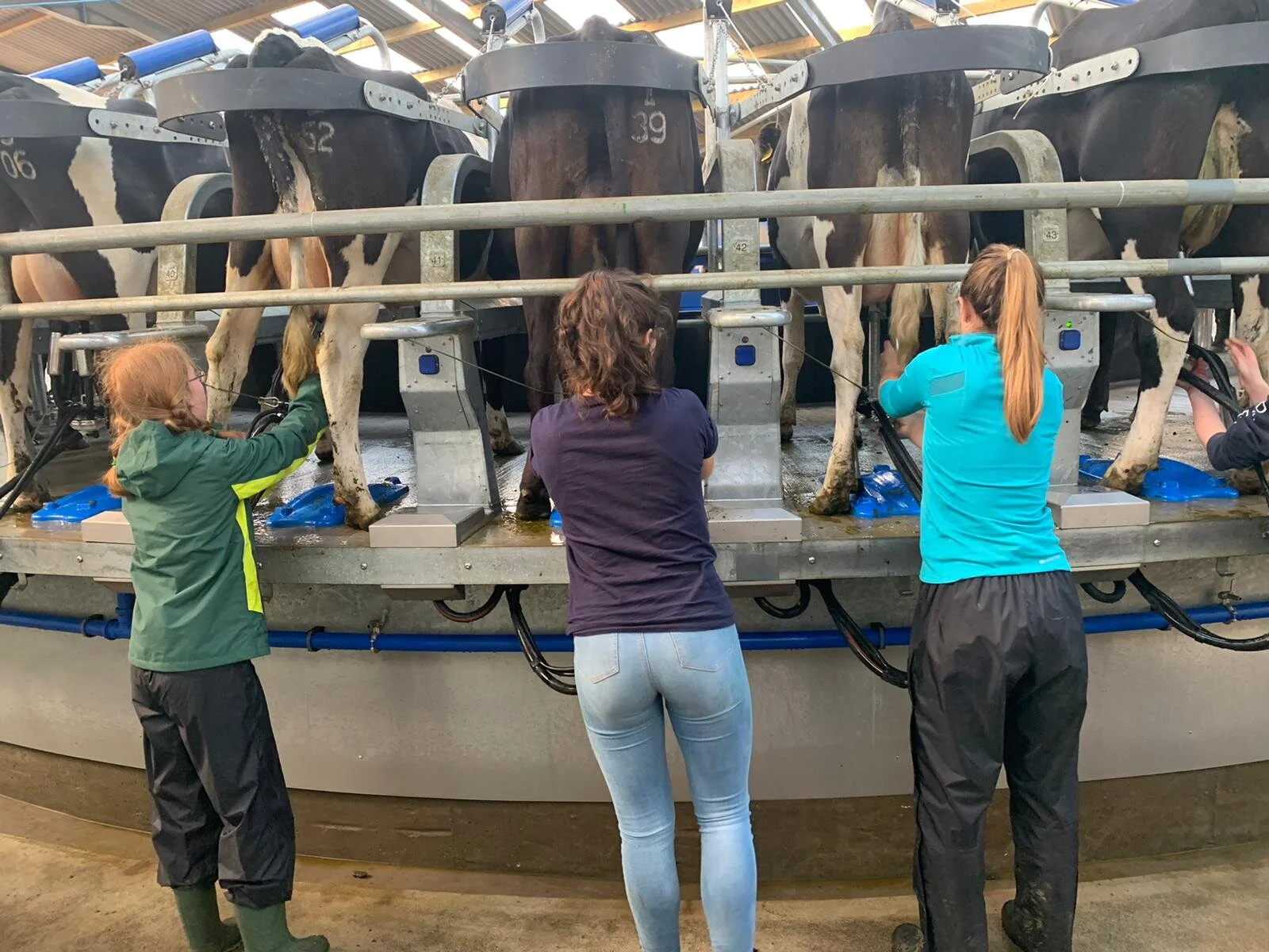 3F8284BF-04A7-4CBA-9F3E-8A7D33D67191