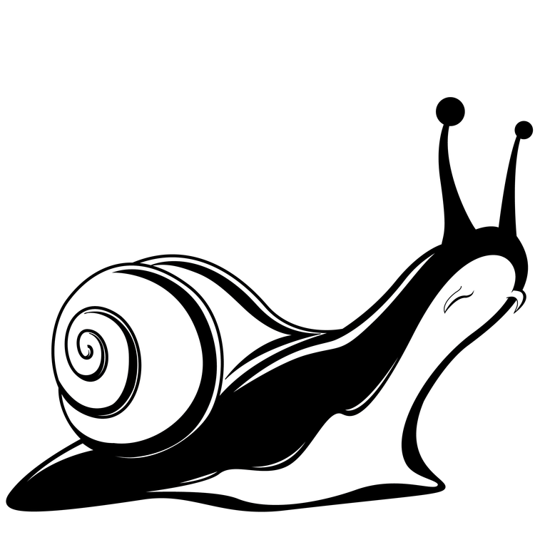 Snail Icon