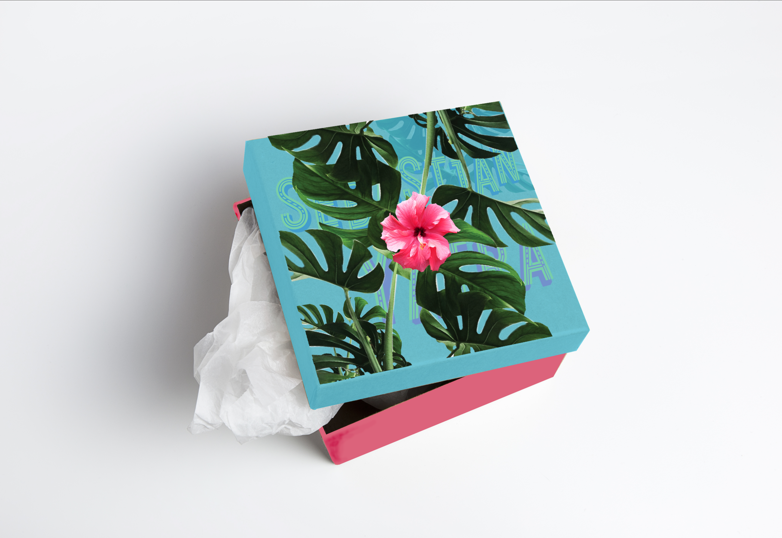BoxRendering2-01.png