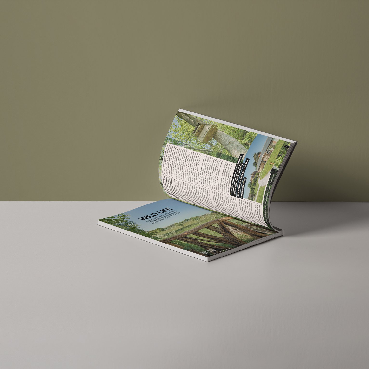 'cene-Magazine-Woodsell-40.jpg