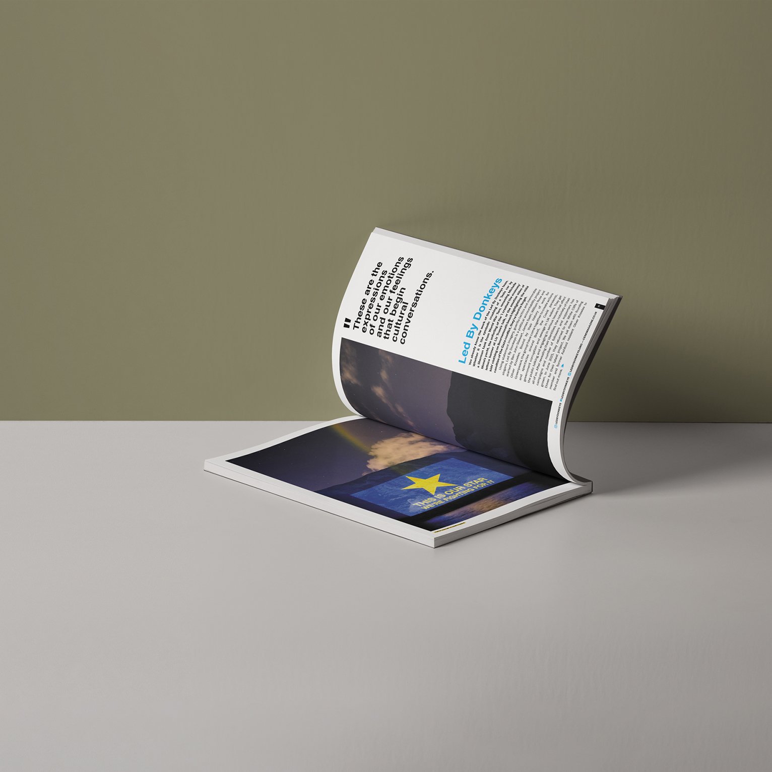 'cene-Magazine-Led-by-donkeys-40.jpg