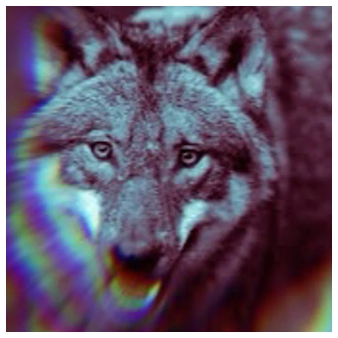 NEW MUSIC: FT. YONAKA, HOLLOW PLANET THEORY, PAPERFRIEND, MIMI WEBB, DUTCHKID, DOHNY JEP &amp; DAVID GOTSOUND