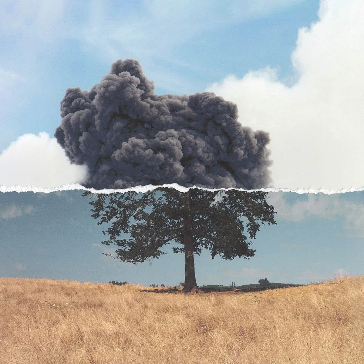 Wilkinson collaborates with Folkestone's 10 Years Time on new album artwork