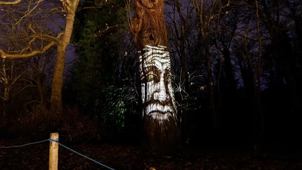 Winter illumination trail brings dazzling lights, art installations &amp; street performers to Kent woodlands