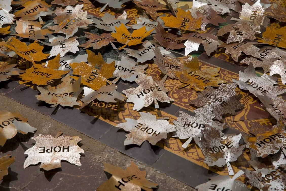5,000 Metal leaves displayed at new Rochester Cathedral exhibit 
